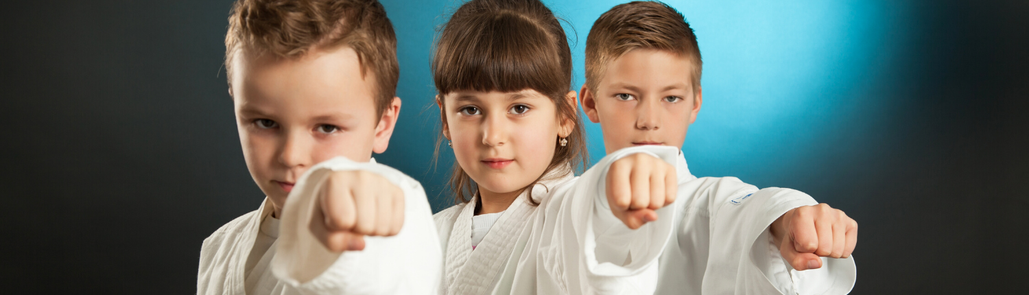 Kinder im Kampfsport - Kiel - Kampfsport - Selbstverteidigung - Kampfkunst - Kinder - Jugendliche