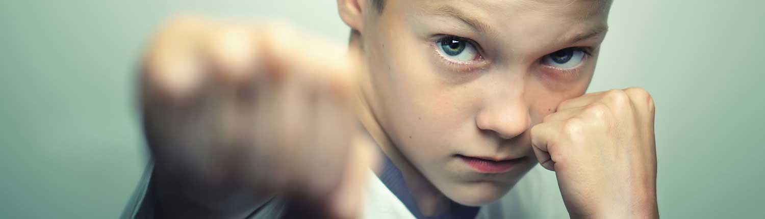 Selbstverteidigung - Kampfkunst - Kampfsport - Selbstbewusstsein - Selbstbehauptung - Kinder - Jugendliche - Kiel