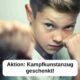 Aktion | Selbstverteidigung - Kampfkunst - Kampfsport - Kiel
